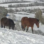 Le De La Bergerie * Montbernard
