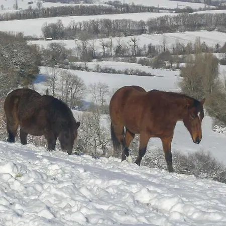 Le De La Bergerie * Montbernard
